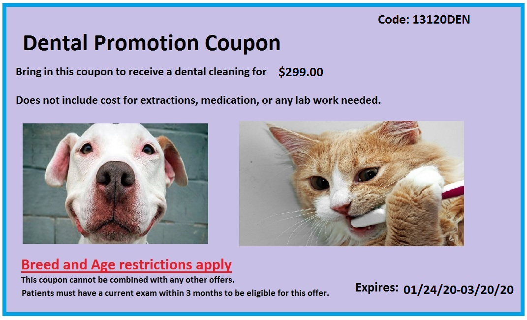 Woodminster Veterinary Hospital Veterinarian In Oakland Ca Us Coupons Woodminster Veterinary Hospital Veterinarian In Oakland Ca Us